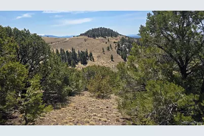 Lot 5506 Balleroy Road, Fort Garland, CO 81133 - Photo 10