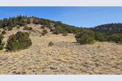 Lot 5506 Balleroy Road, Fort Garland, CO 81133 - Photo 18