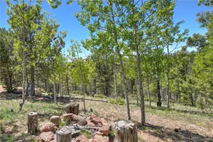 47 Aspen Rd, Woodland Park, CO 80863 - Photo 24