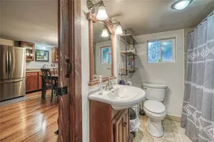 306 Elm St, Leadville, CO 80461 - Photo 16