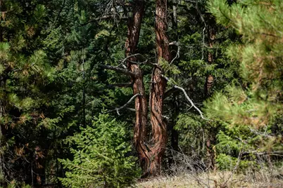 000 Aspen Lane, Golden, CO 80401 - Photo 6