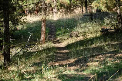 000 Aspen Lane, Golden, CO 80401 - Photo 4