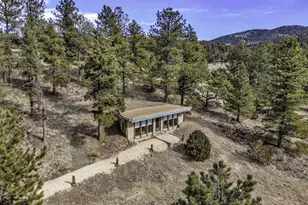 1564 Larkspur Ln, Westcliffe, CO 81252 - Photo 32
