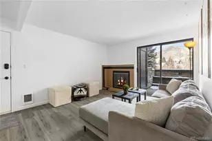 1061 W Beaver Creek Blvd, Avon, CO 81620 - Photo 46