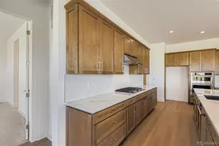 218 Leafy Aster Ln, Castle Rock, CO 80104 - Photo 10