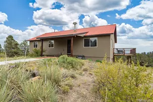 13500 Co Rd 251, Salida, CO 81201 - Photo 4