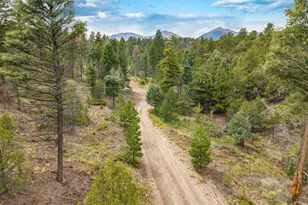 13500 Co Rd 251, Salida, CO 81201 - Photo 44