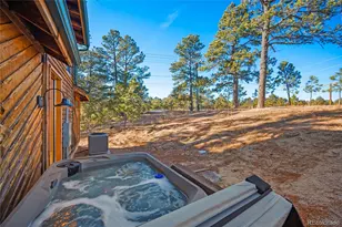 11855 Grandin Pt, Elbert, CO 80106 - Photo 34