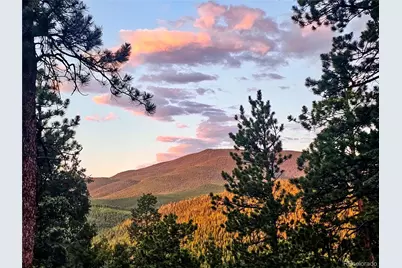 32783 Lodgepole Circle, Evergreen, CO 80439 - Photo 30