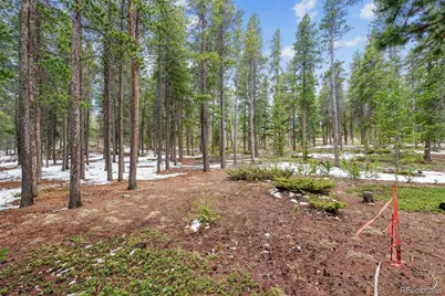 Rock Lake Road, Ward, CO 80481 - Photo 8