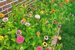 4759 S Hawthorne St, Englewood, CO 80110 - Photo 14