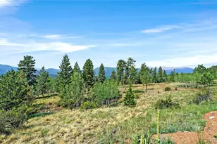 120 Rd P78, Bailey, CO 80421 - Photo 12