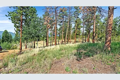 120 Road P78, Bailey, CO 80421 - Photo 10