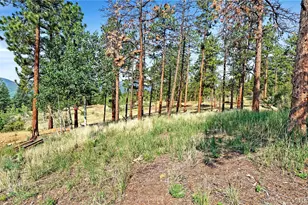 120 Rd P78, Bailey, CO 80421 - Photo 10