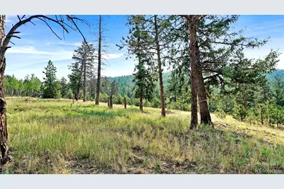 120 Road P78, Bailey, CO 80421 - Photo 16