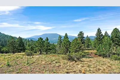 120 Road P78, Bailey, CO 80421 - Photo 14