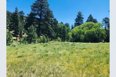 151 Wagon Train Drive, Antonito, CO 81120 - Photo 2