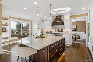 10310 Charissglen Cir, Highlands Ranch, CO 80126 - Photo 10