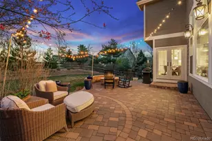 10310 Charissglen Cir, Highlands Ranch, CO 80126 - Photo 40