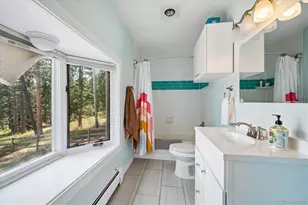 8783 S Ault Ln, Morrison, CO 80465 - Photo 34
