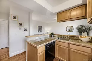 1629 N Clarkson St, Denver, CO 80218 - Photo 14