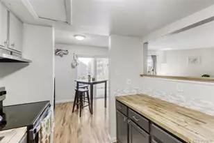 3428 S Locust St, Denver, CO 80222 - Photo 6