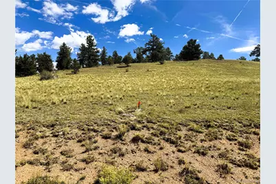 2669 Settele Drive, Hartsel, CO 80449 - Photo 2