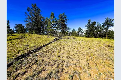 2669 Settele Drive, Hartsel, CO 80449 - Photo 14