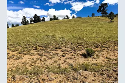 2669 Settele Drive, Hartsel, CO 80449 - Photo 4