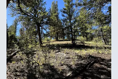 2669 Settele Drive, Hartsel, CO 80449 - Photo 18