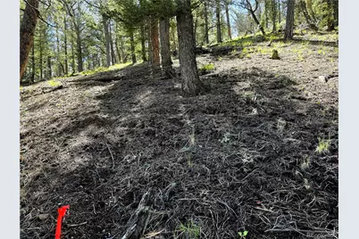 2669 Settele Drive, Hartsel, CO 80449 - Photo 22