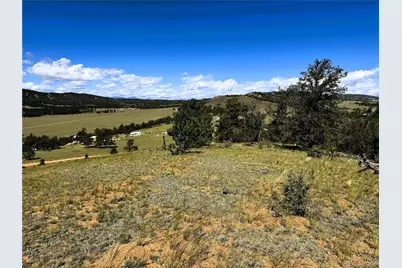 2669 Settele Drive, Hartsel, CO 80449 - Photo 8