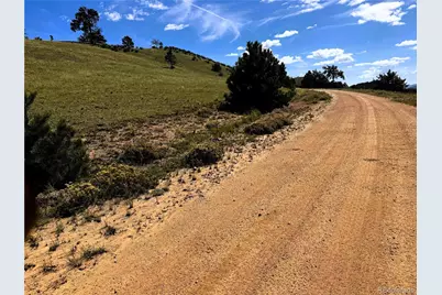 2669 Settele Drive, Hartsel, CO 80449 - Photo 6