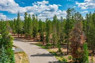 589 & 611 Augusta Dr, Leadville, CO 80461 - Photo 1