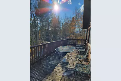 279 Antelope Road, Leadville, CO 80461 - Photo 12