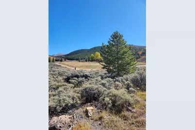 279 Antelope Road, Leadville, CO 80461 - Photo 2
