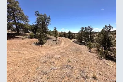 2972 Fitzsimmons, Hartsel, CO 80449 - Photo 2