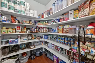 2620 Meadows Blvd, Castle Rock, CO 80109 - Photo 22