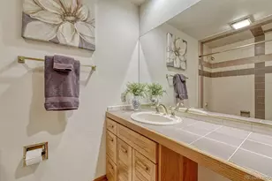 6738 Condor Run, Littleton, CO 80125 - Photo 30