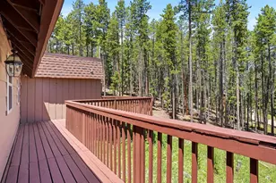 32627 Lila Dr, Conifer, CO 80433 - Photo 40