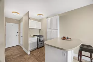 1196 N Grant Street, Denver, CO 80203 - Photo 8