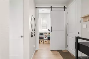 3350 Backdrop Ct, Castle Rock, CO 80108 - Photo 20