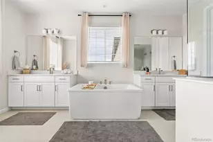 3350 Backdrop Ct, Castle Rock, CO 80108 - Photo 26