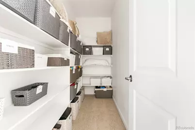 3350 Backdrop Court, Castle Rock, CO 80108 - Photo 42