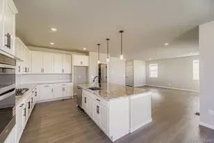 13769 Daffodil Pt, Parker, CO 80134 - Photo 8