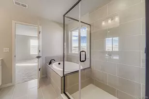 13769 Daffodil Pt, Parker, CO 80134 - Photo 18