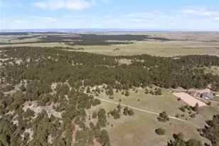 18673 N Elbert Rd, Elbert, CO 80106 - Photo 22