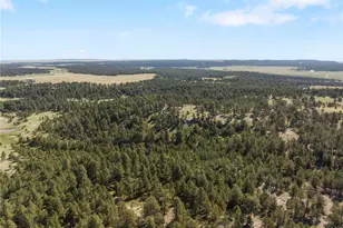 18673 N Elbert Rd, Elbert, CO 80106 - Photo 20