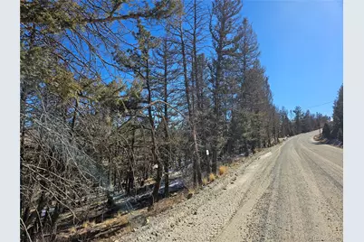 1412 Redhill Road, Fairplay, CO 80440 - Photo 16