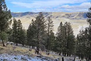 4260 Middle Fork Vista, Fairplay, CO 80440 - Photo 1